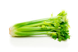 CELERY