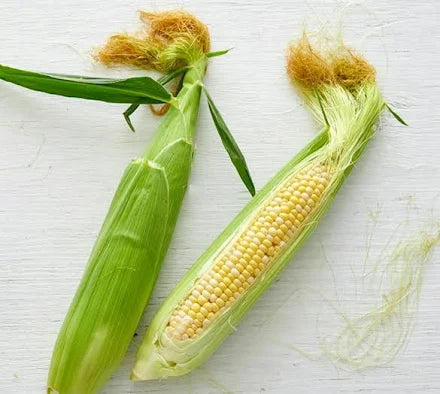 CORN, BI-COLOR 12 EACH /$5.00 BUNDLE