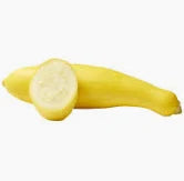 SQUASH, YELLOW  4 EACH / $7.49  BUNDLE